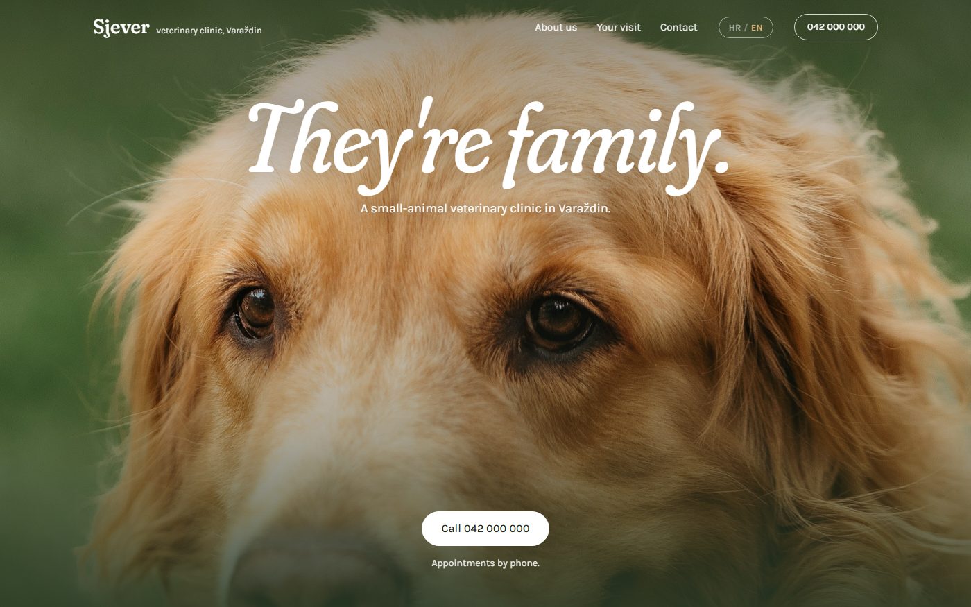 Veterinary clinic site on a laptop